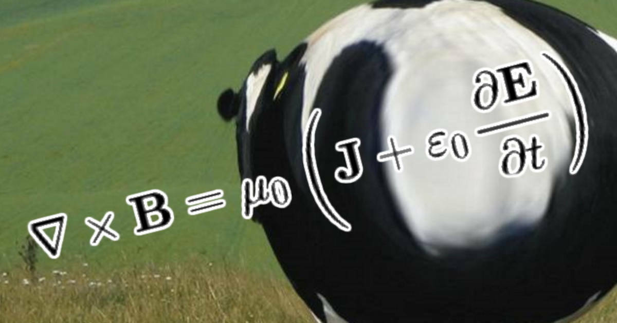 Cow Field