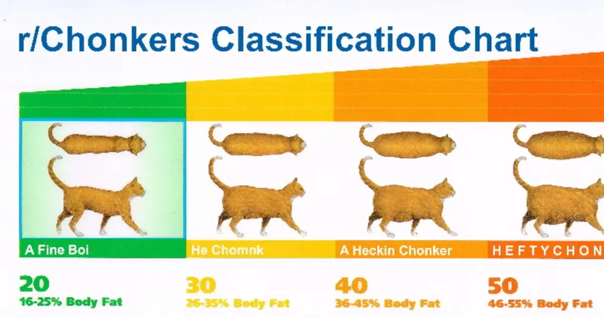 Chonky Motherboards